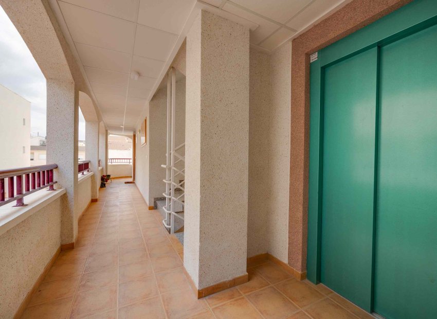 New Build - Apartment / flat - San Fulgencio