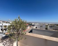 New Build - Apartment / flat - Torrevieia - Torrevieja