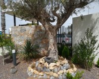 New Build - Bungalow - Torrevieia - Torrevieja