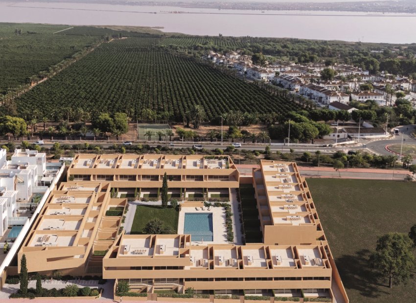 New Build - Bungalow - Torrevieia - Torrevieja