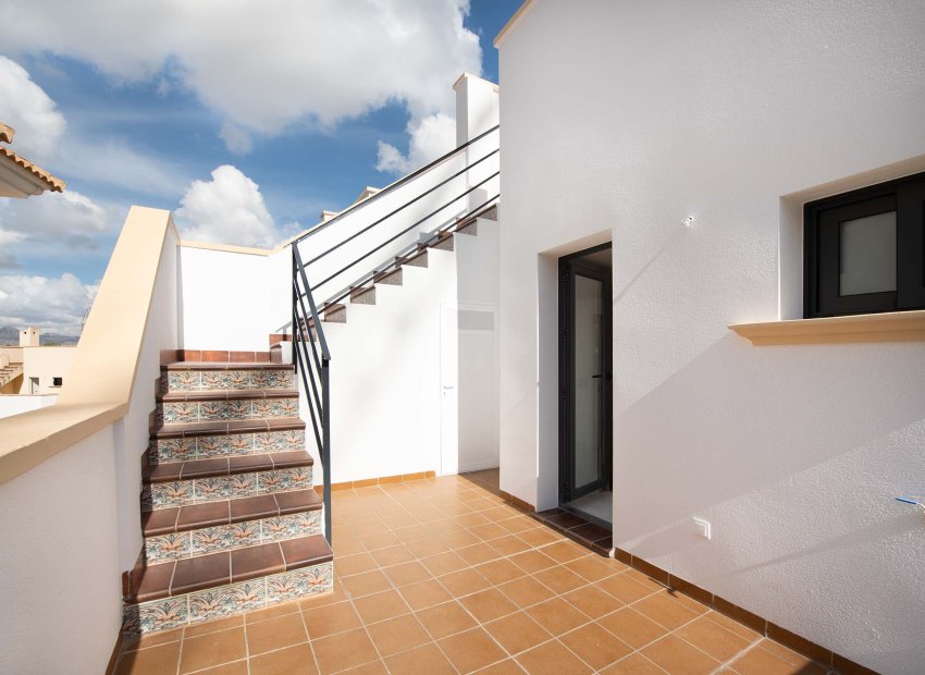 New Build - Townhouse / Duplex / Corner - Cox