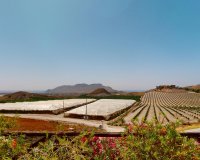 New Build - Villa - Águilas