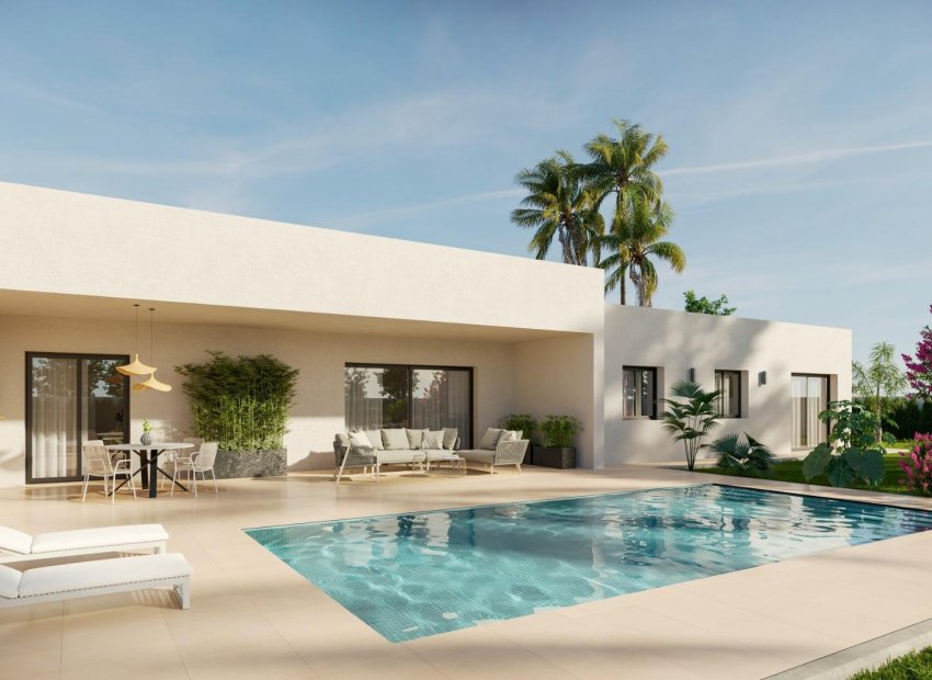 New Build - Villa - Aspe