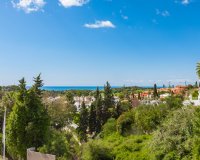 New Build - Villa - Cortés