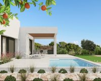 New Build - Villa - Dehesa de Campoamor - Dehesa de campoamor