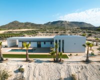 New Build - Villa - Pinoso