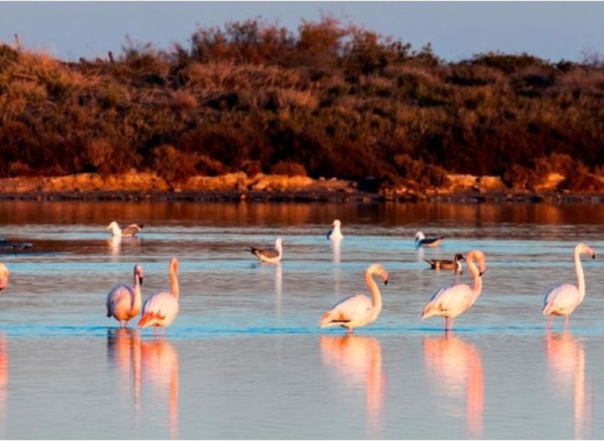 New Build - Villa - San Pedro del Pinatar