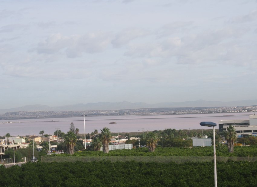 New Build - Villa - Torrevieia - Torrevieja