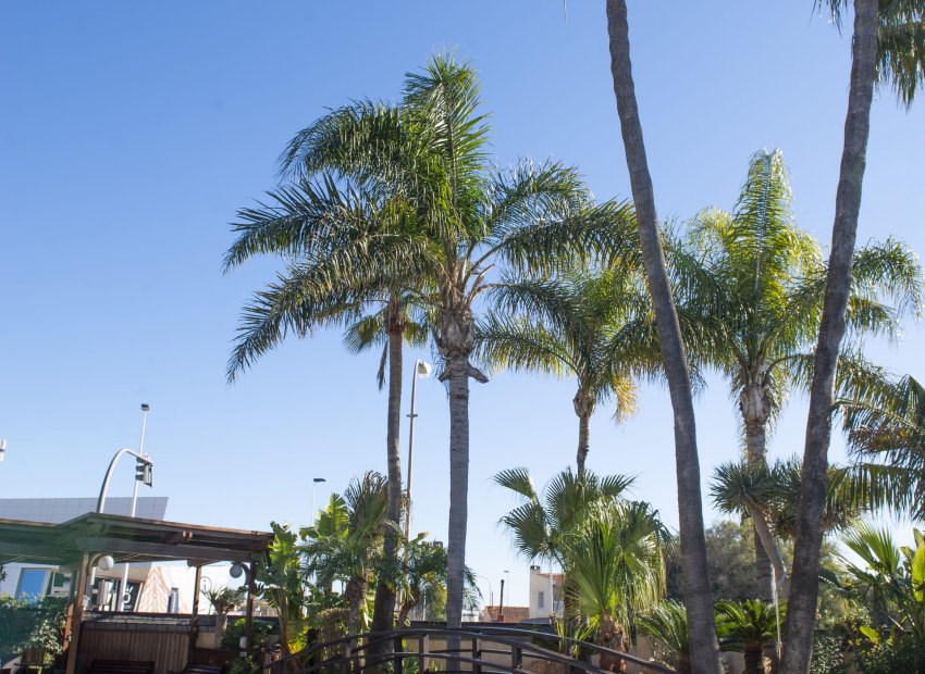 Nieuwbouw Woningen - Villa - San Pedro del Pinatar