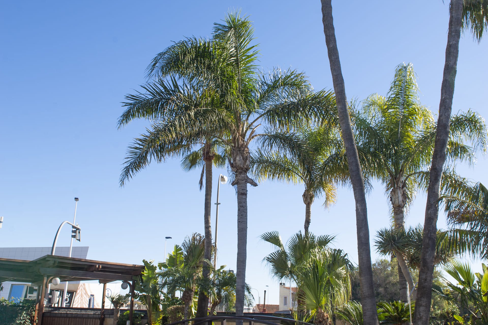 Nieuwbouw Woningen - Villa - San Pedro del Pinatar