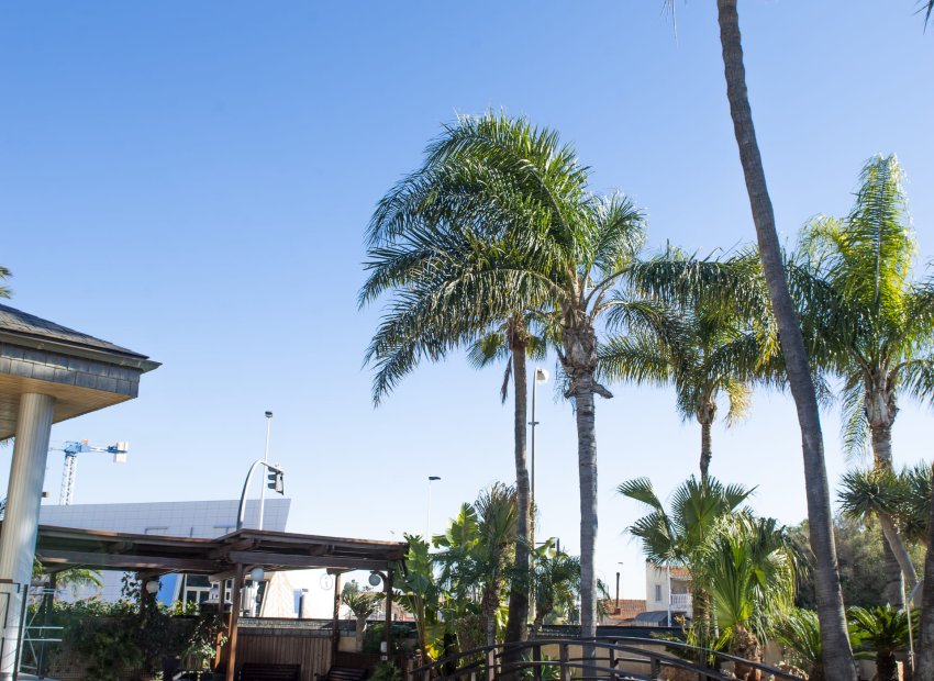 Nieuwbouw Woningen - Villa - San Pedro del Pinatar