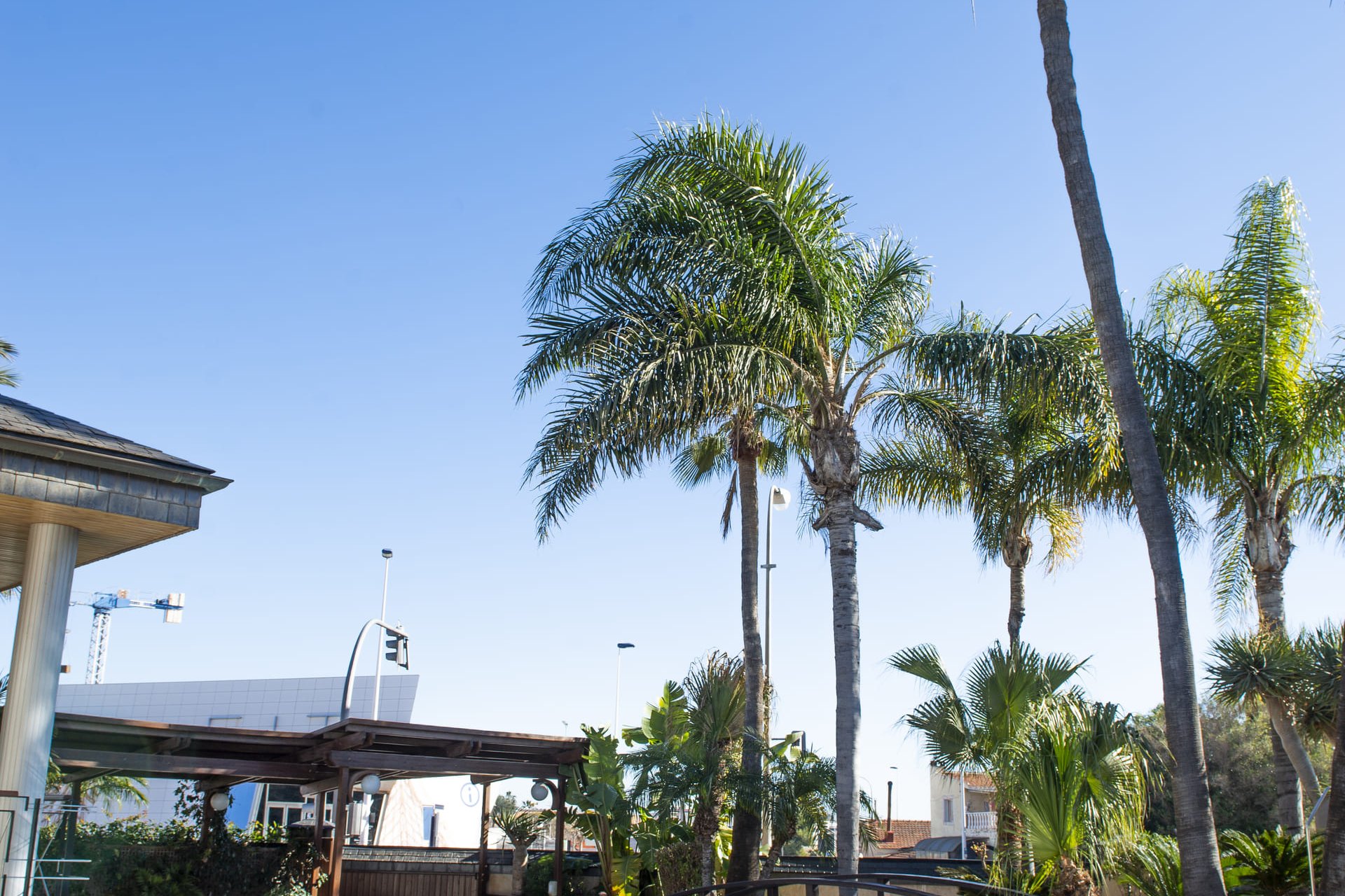 Nieuwbouw Woningen - Villa - San Pedro del Pinatar