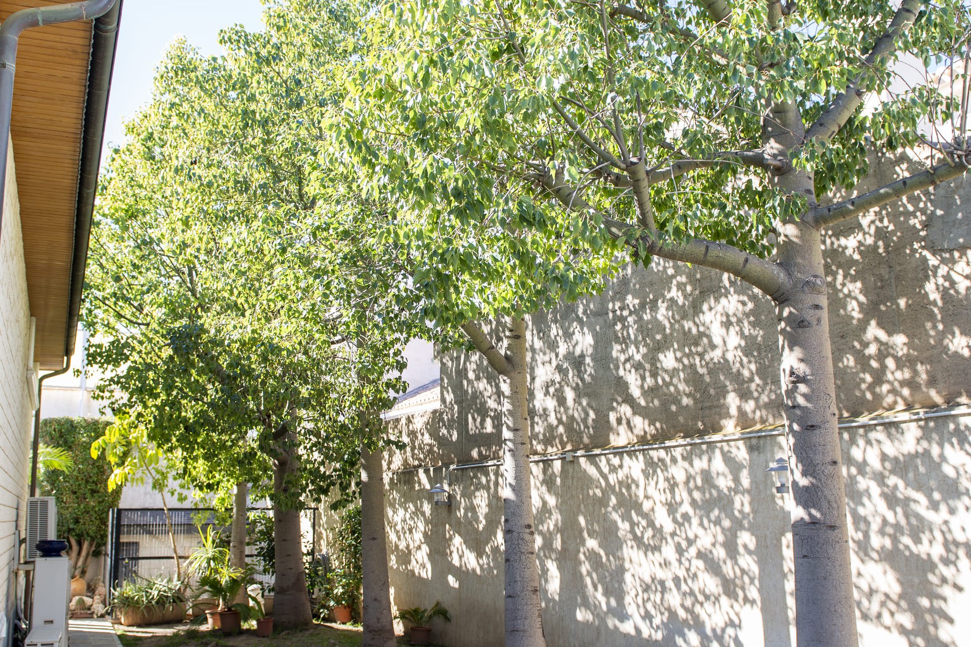 Nieuwbouw Woningen - Villa - San Pedro del Pinatar