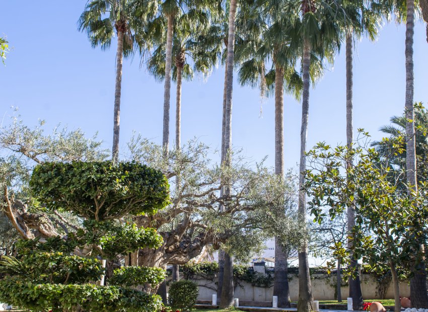 Nieuwbouw Woningen - Villa - San Pedro del Pinatar