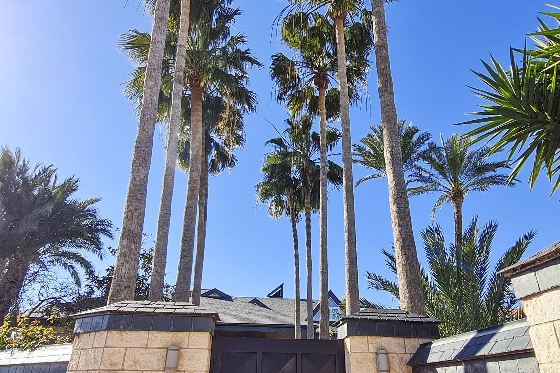 Nieuwbouw Woningen - Villa - San Pedro del Pinatar