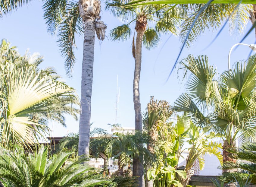 Nieuwbouw Woningen - Villa - San Pedro del Pinatar