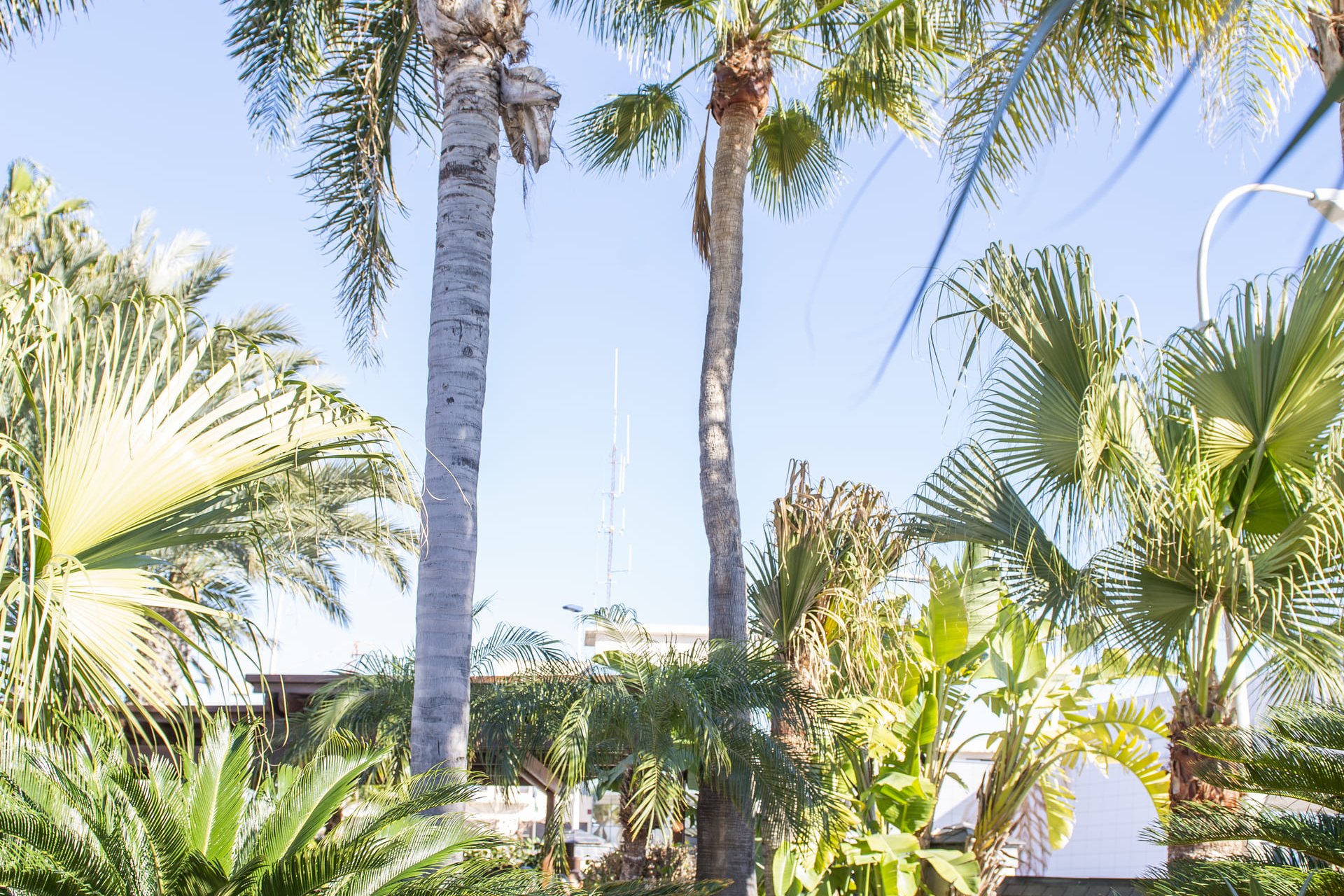 Nieuwbouw Woningen - Villa - San Pedro del Pinatar