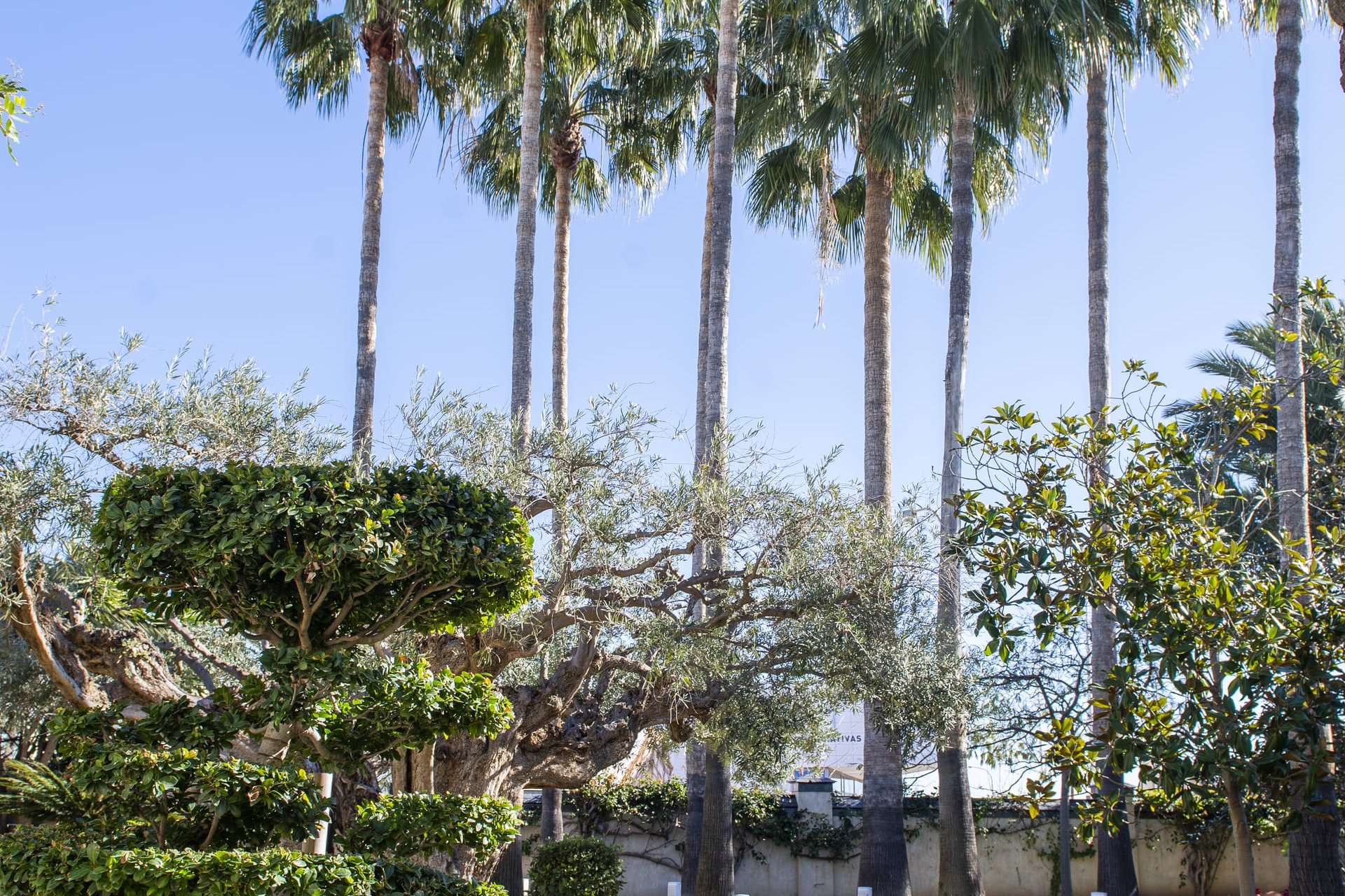 Nieuwbouw Woningen - Villa - San Pedro del Pinatar