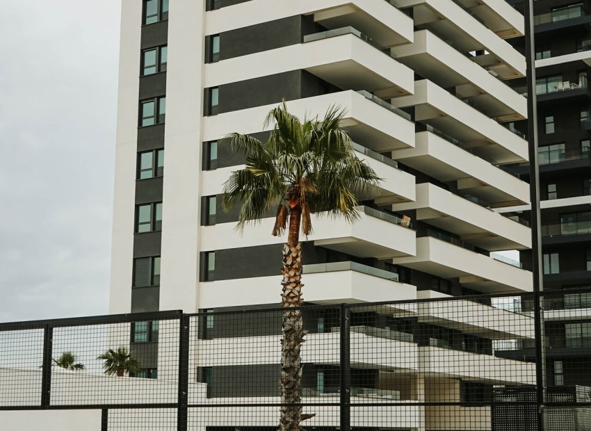 Obra nueva - Apartamento / piso - Calpe