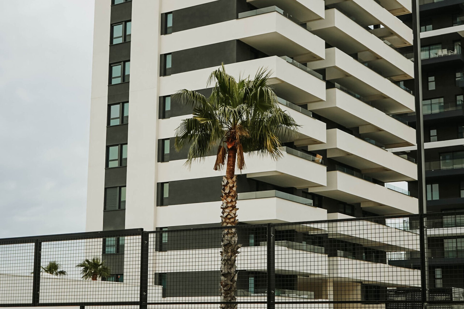 Obra nueva - Apartamento / piso - Calpe