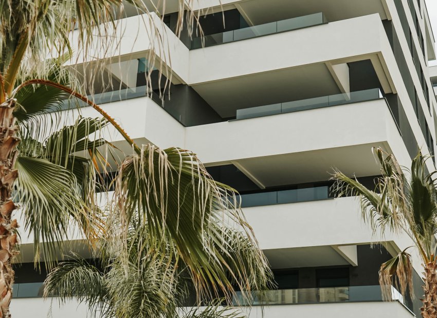 Obra nueva - Apartamento / piso - Calpe