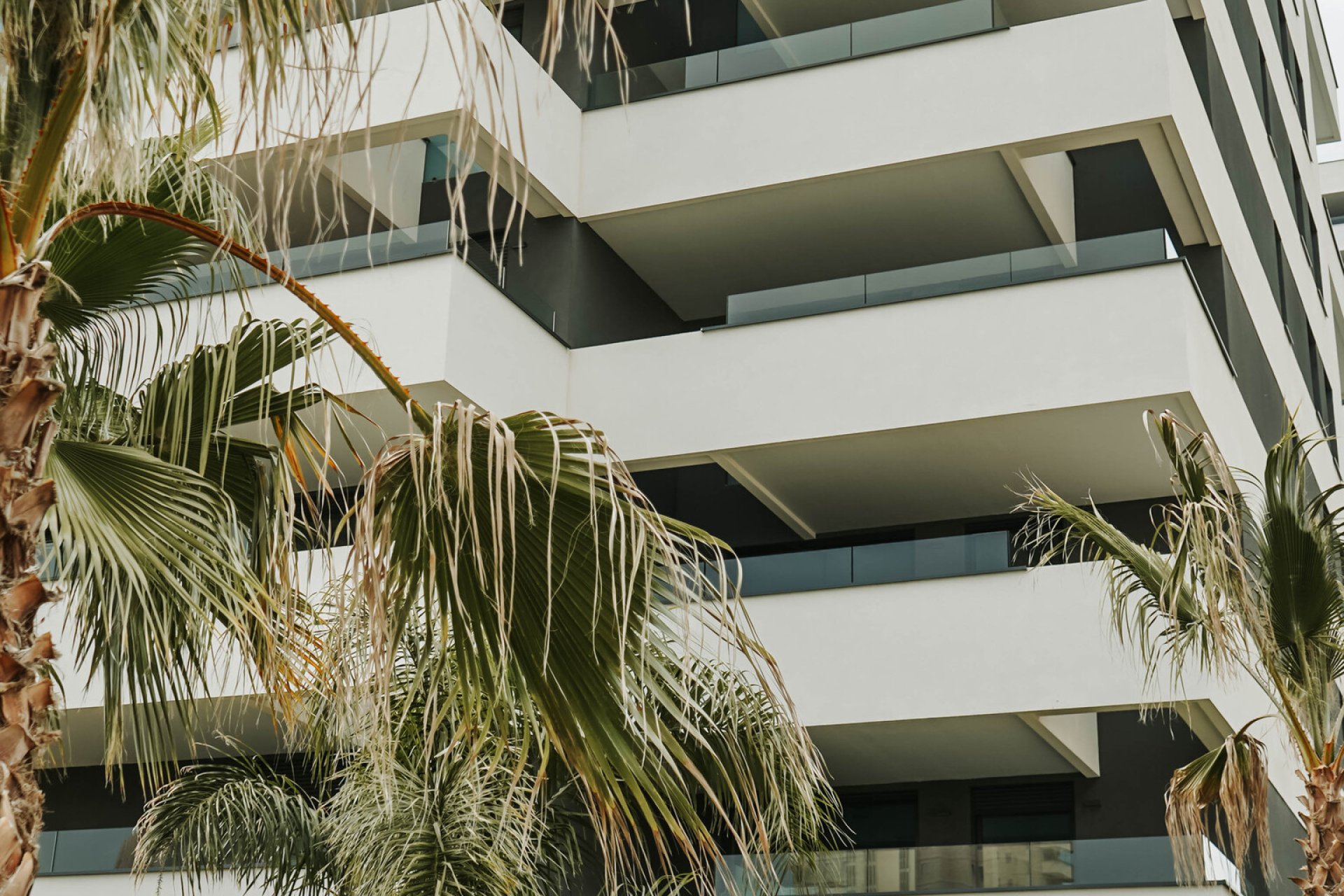 Obra nueva - Apartamento / piso - Calpe