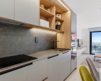 Obra nueva - Apartamento / piso - Guardamar del Segura