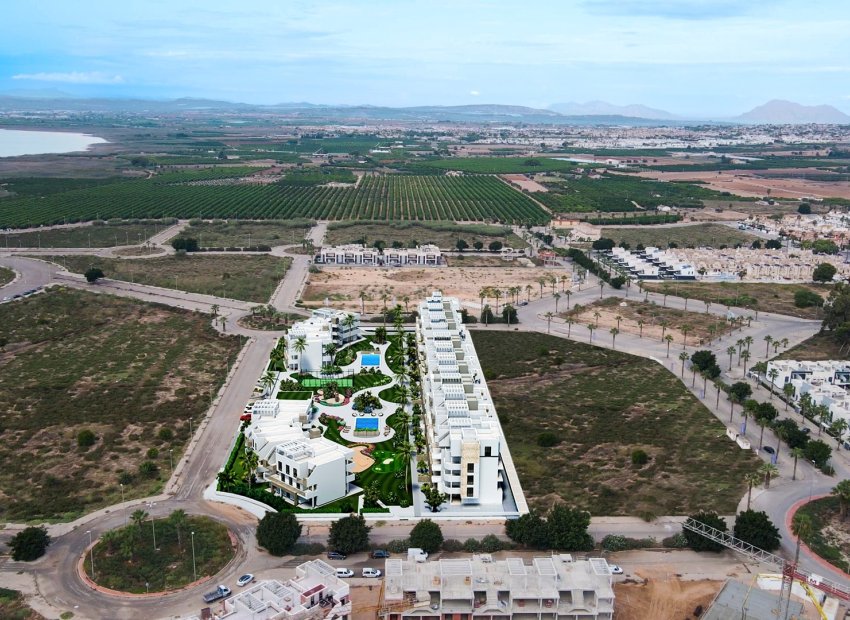 Obra nueva - Apartamento / piso - Guardamar del Segura