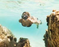 Obra nueva - Apartamento / piso - La Manga del Mar Menor