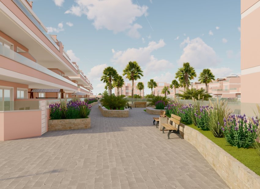 Obra nueva - Apartamento / piso - Pilar de la Horadada