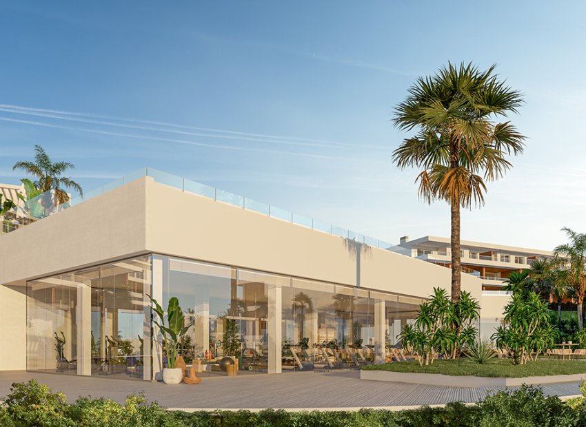 Obra nueva - Apartamento / piso - San Roque