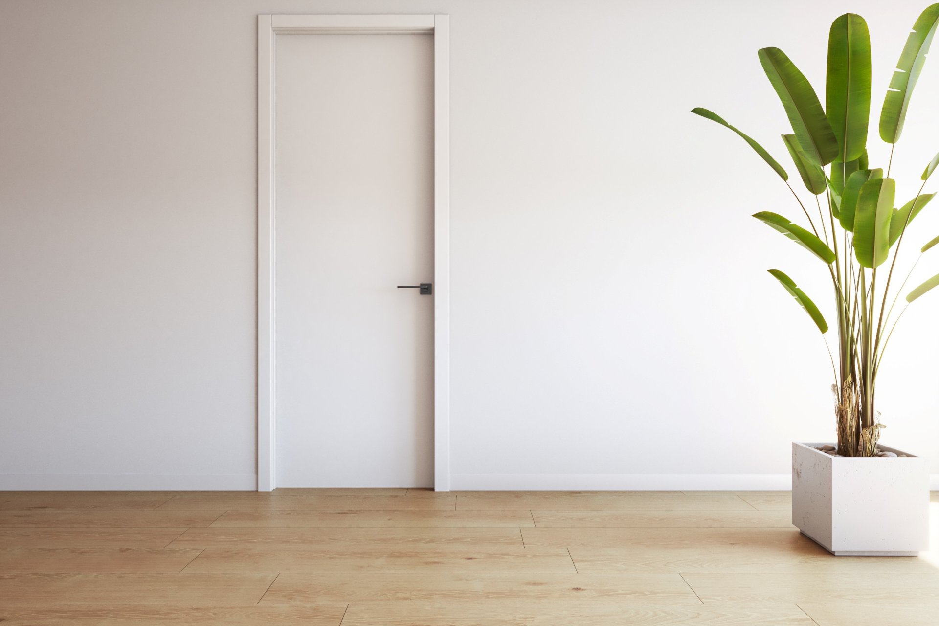 Obra nueva - Apartamento / piso - Torrevieia - Torrevieja