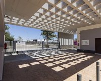 Obra nueva - Apartamento / piso - Vera