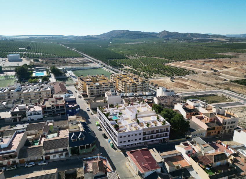 Obra nueva - Apartments - Flats - Algorfa