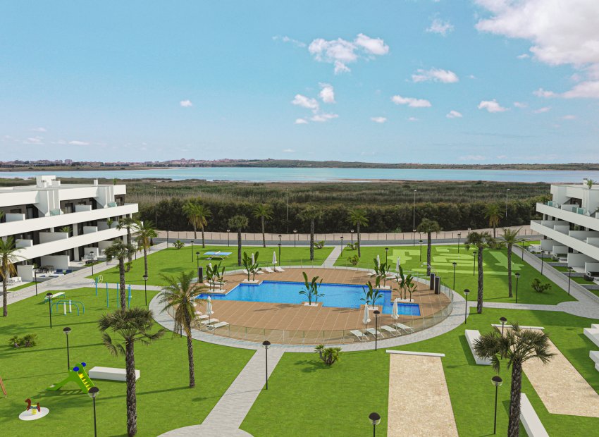 Obra nueva - Apartments - Flats - Guardamar del Segura