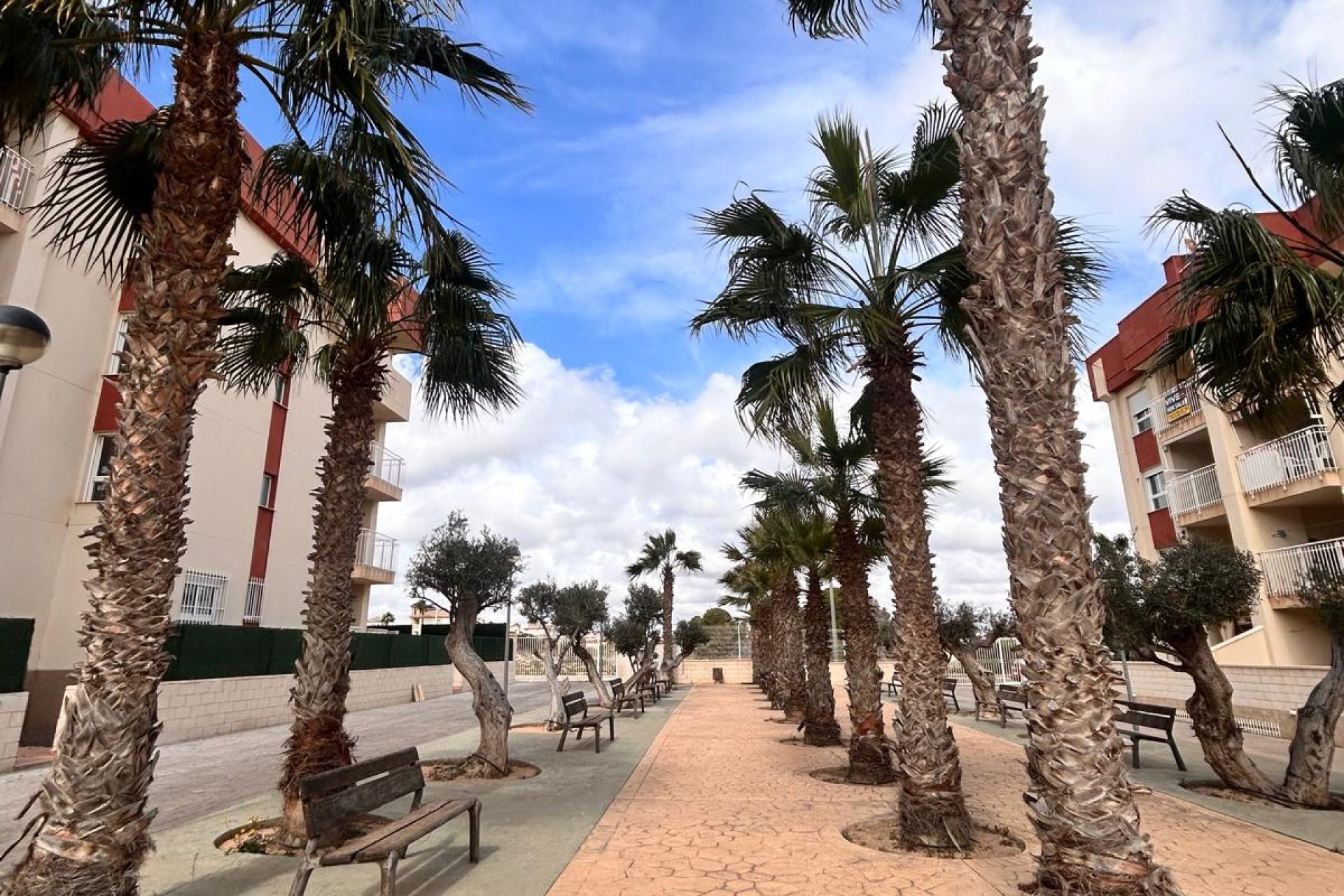 Obra nueva - Bungalow - Orihuela