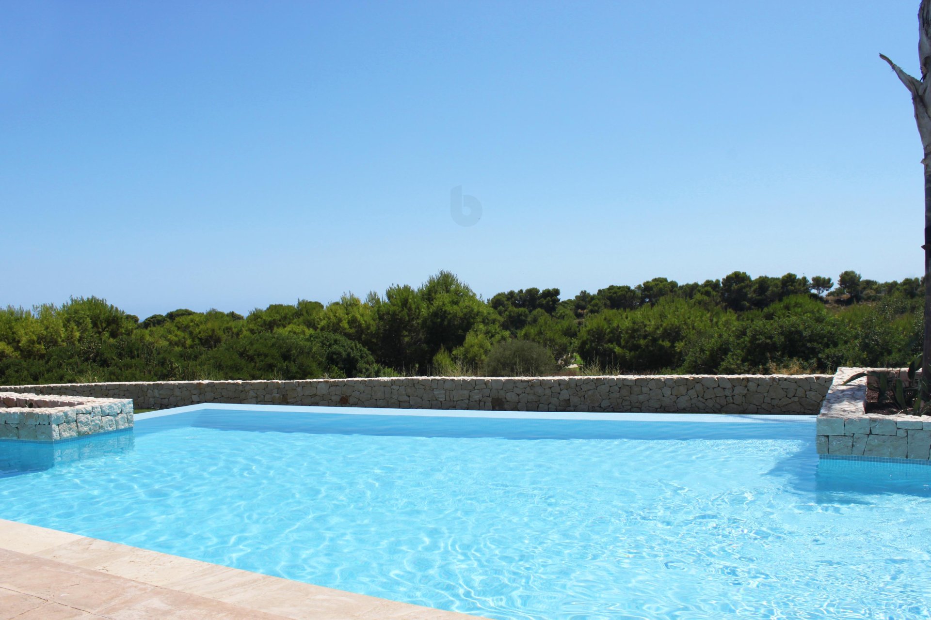 Obra nueva - Bungalow - Pinar de Campoverde