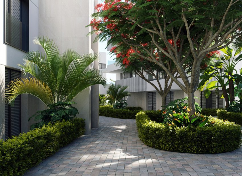 Obra nueva - Bungalow - Torre Pacheco