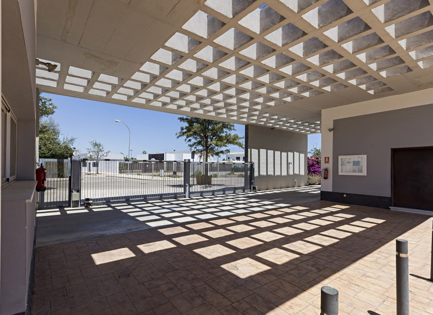 Obra nueva - Bungalow - Vera