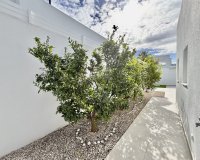 Obra nueva - Villa - Benijofar