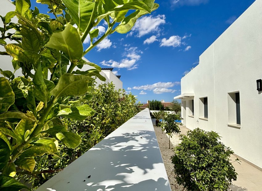 Obra nueva - Villa - Benijofar