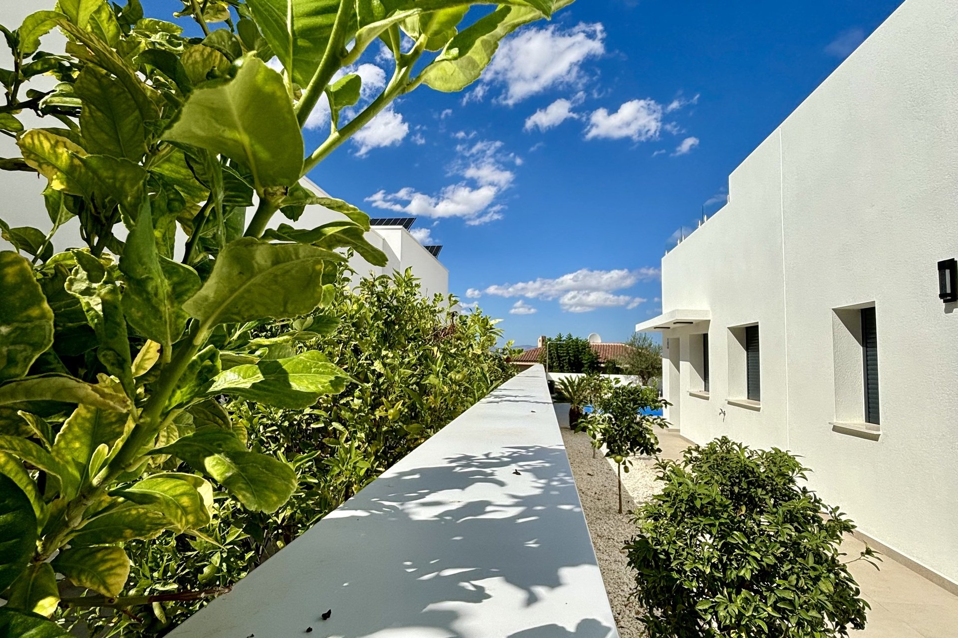 Obra nueva - Villa - Benijofar