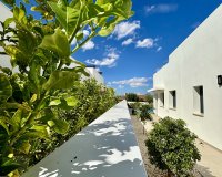 Obra nueva - Villa - Benijofar