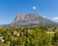 Obra nueva - Villa - Finestrat