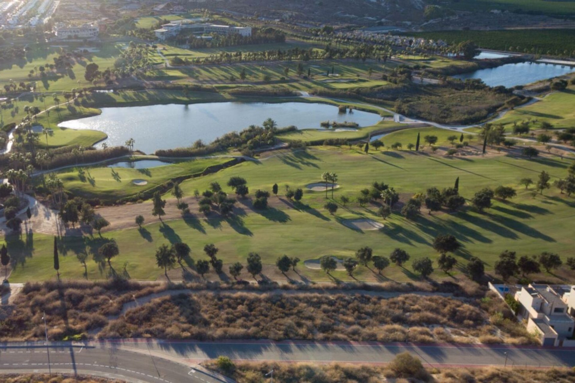 Obra nueva - Villa - La Finca Golf - La finca Golf