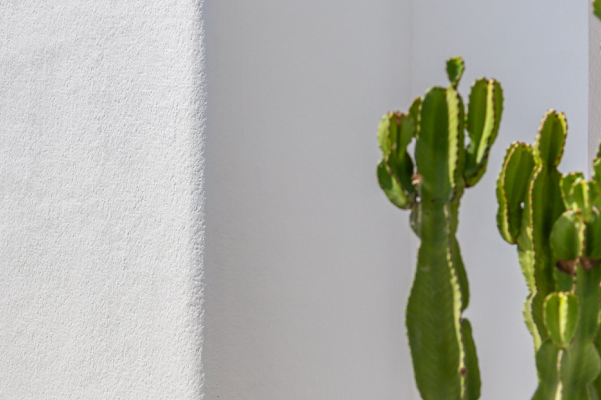 Obra nueva - Villa - Los Alcázares