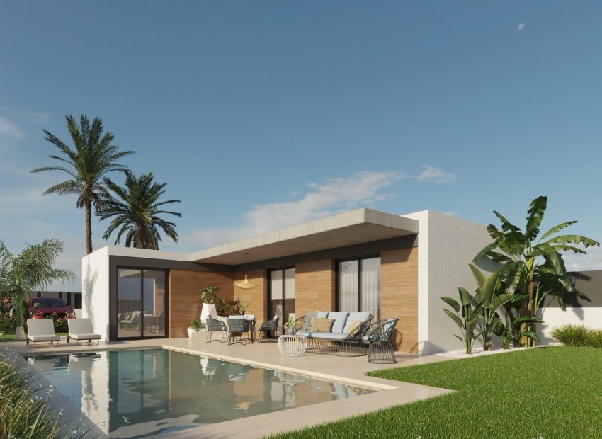 Obra nueva - Villa - Molina de Segura