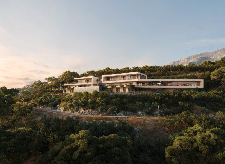 Obra nueva - Villa - Montemayor