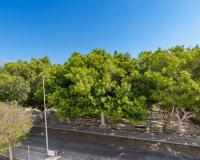 Obra nueva - Villa - Pilar de la Horadada