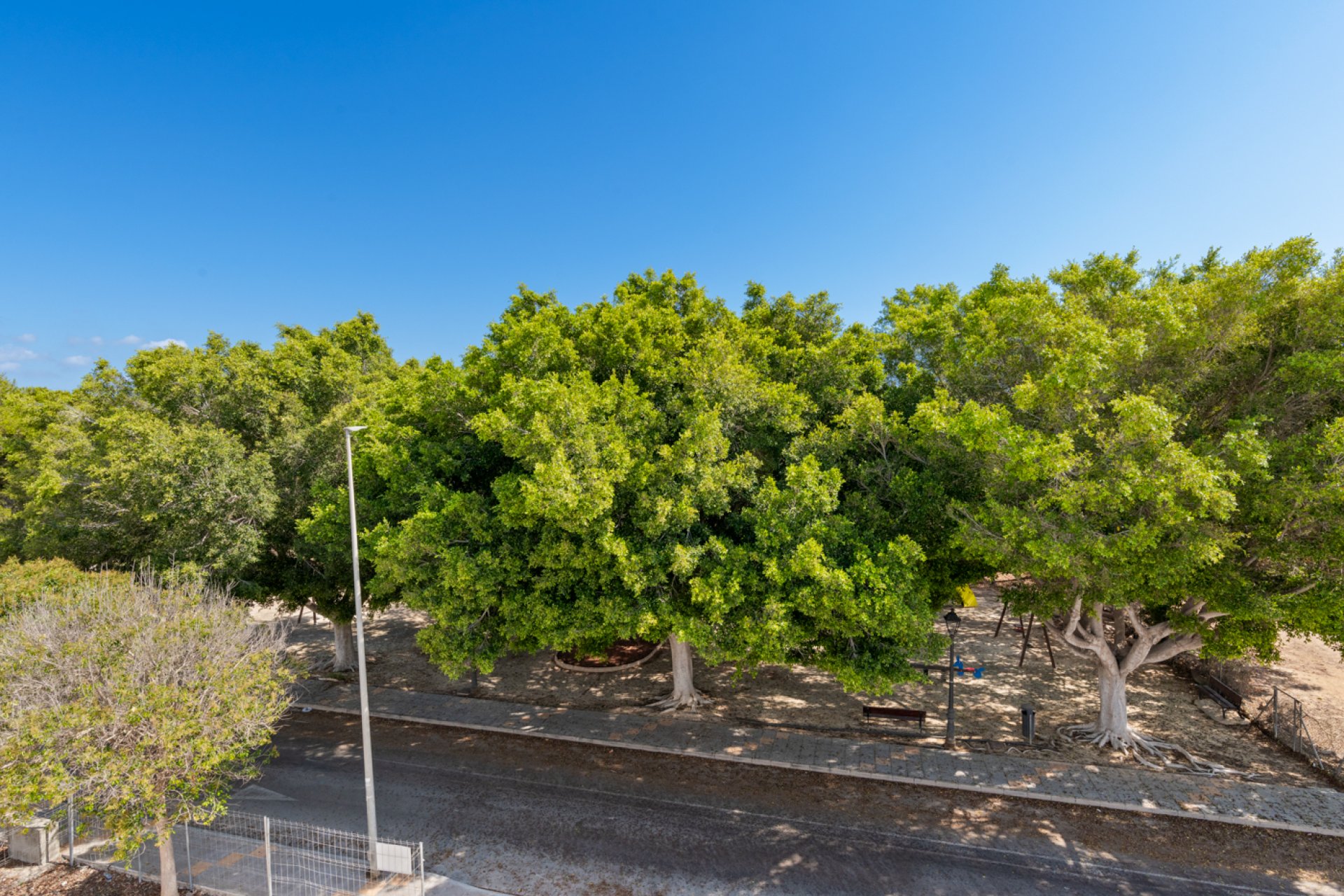 Obra nueva - Villa - Pilar de la Horadada